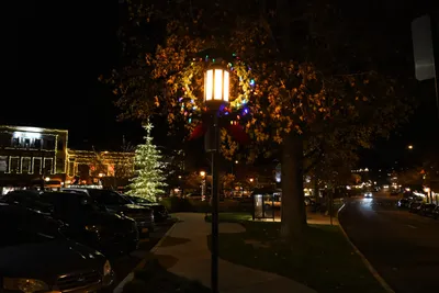 DSC_0033 (Large).JPG